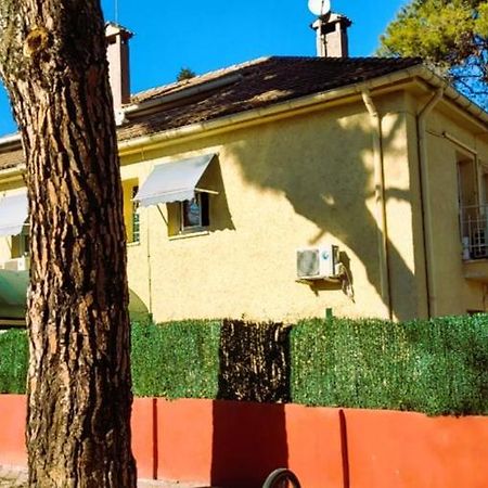 Hostal Aravaca Garden Madrid Exterior photo