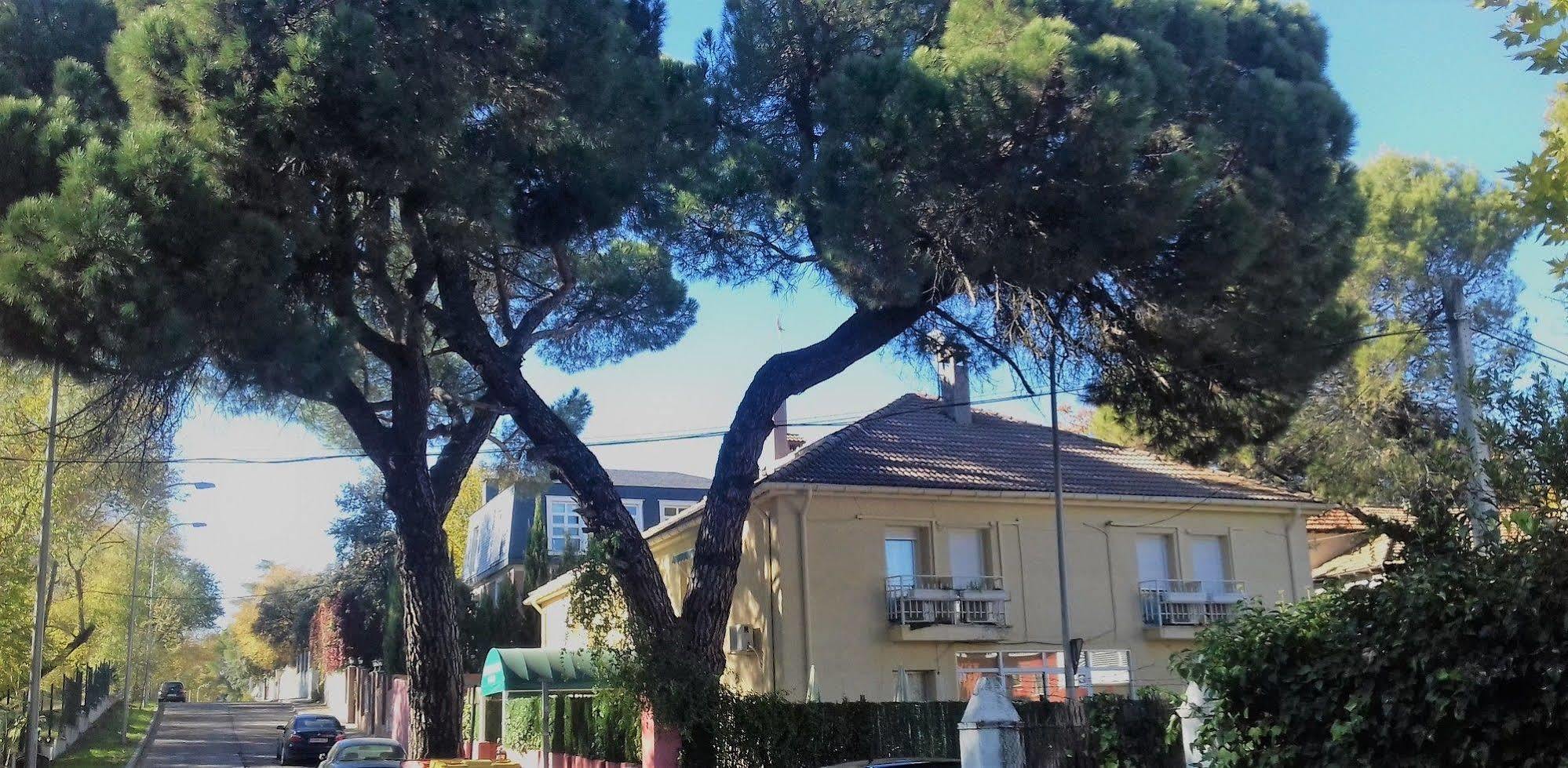 Hostal Aravaca Garden Madrid Exterior photo